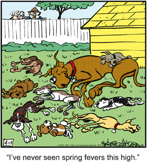 marmaduke